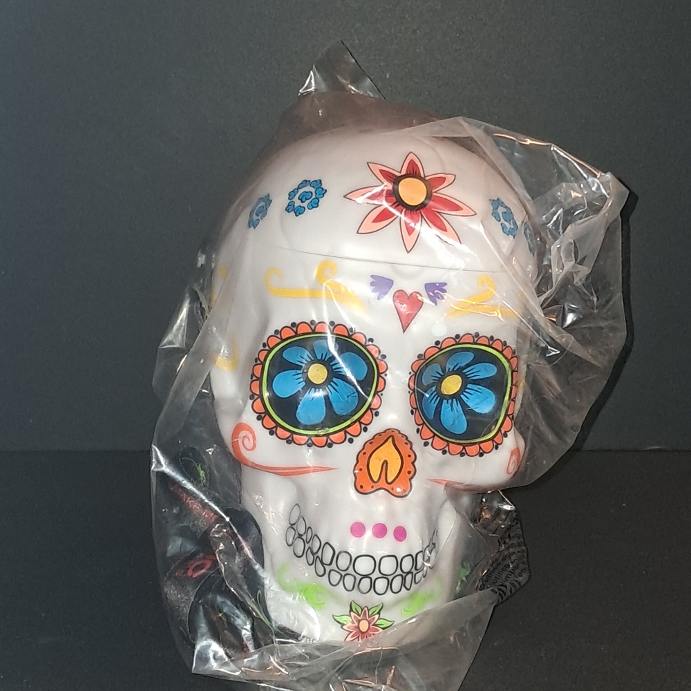 White and Blue Decorative Skull Accent Decor